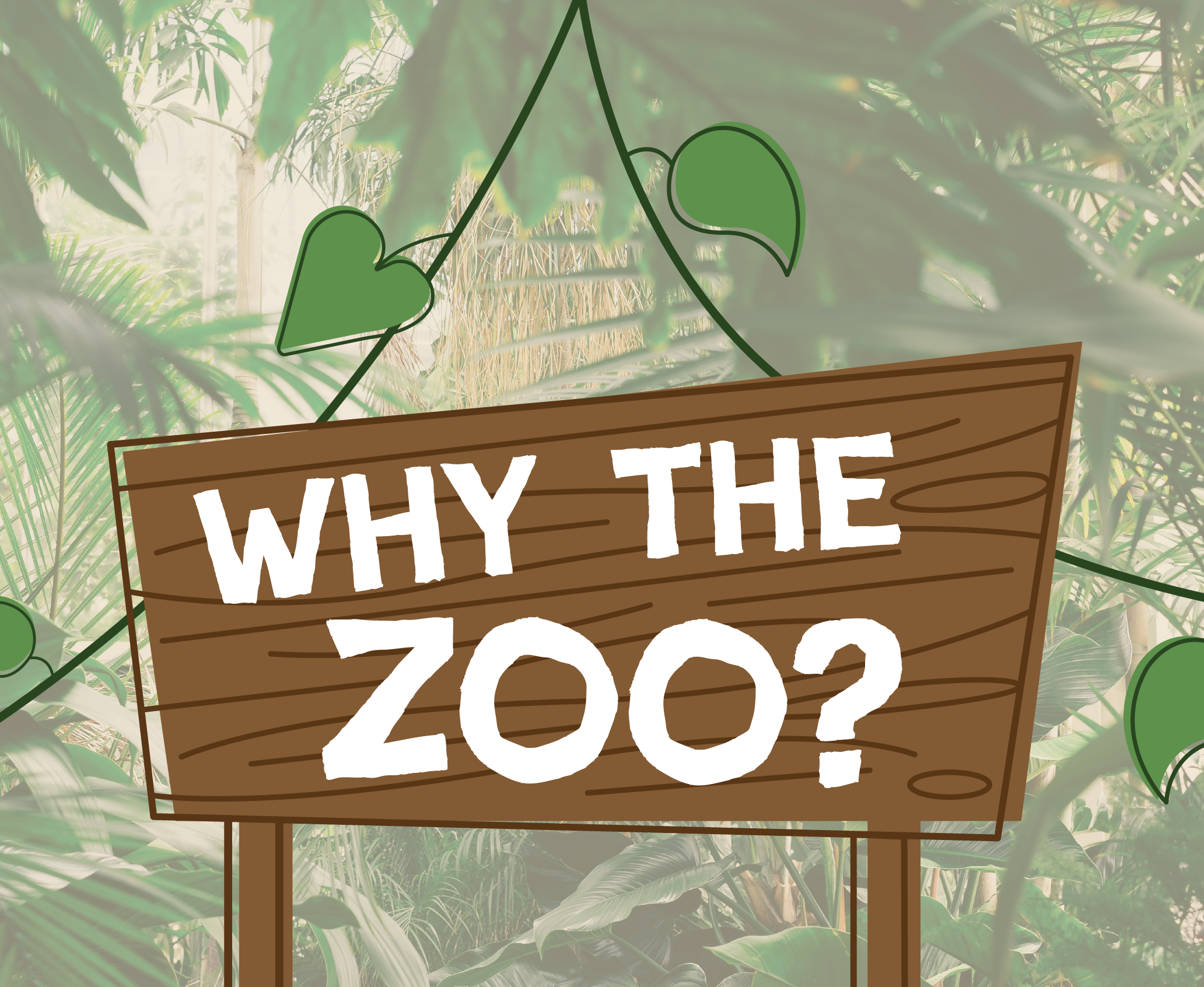 Why the Zoo Infographic