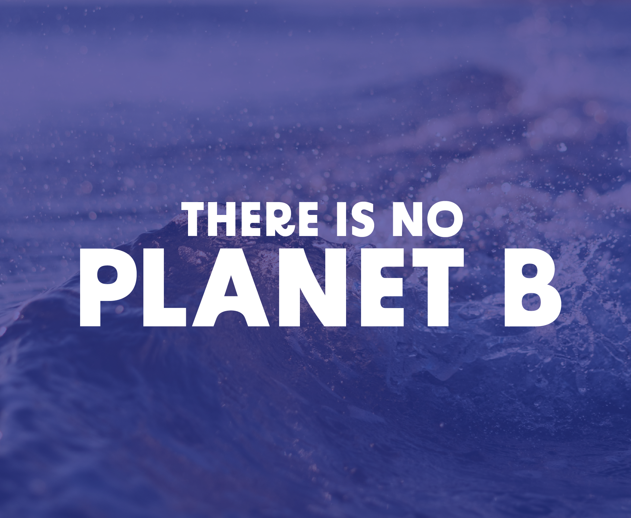 There is No Planet B Brochure